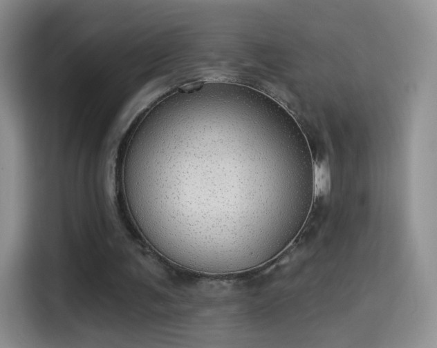 X0000115360291200911101202