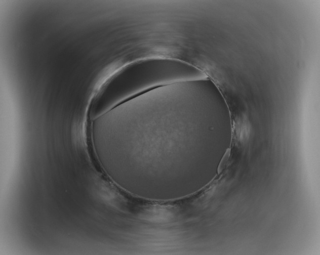 X0000115360292200911101202