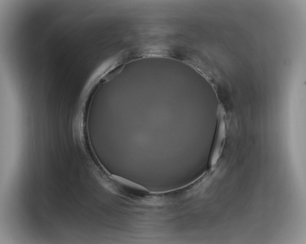 X0000115360293200911101202