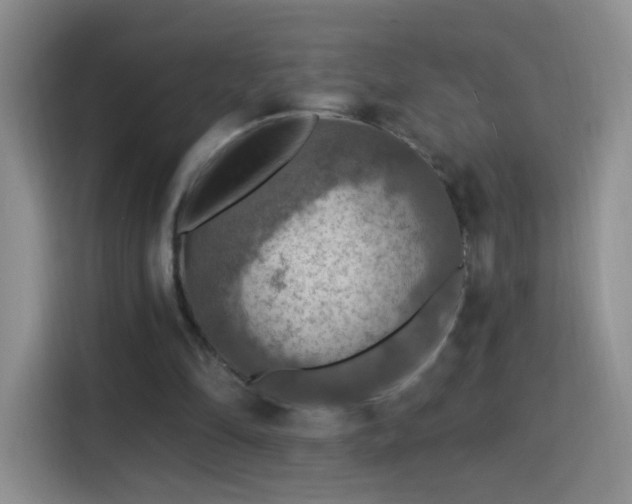 X0000115360294200911101202