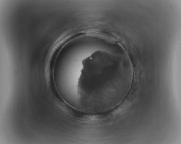X0000115360295200911101202
