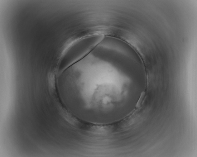 X0000115360297200911101202