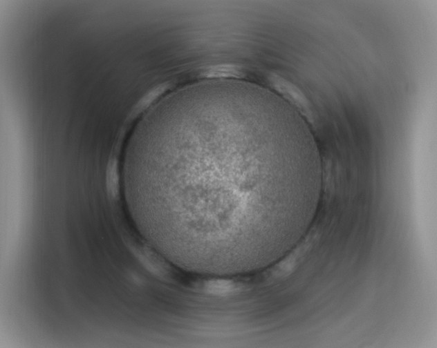 X0000115360298200911101202