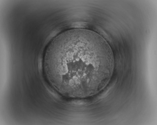X0000115360299200911101202