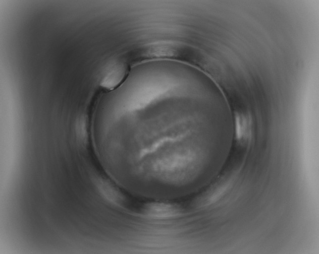 X0000115360300200911101202