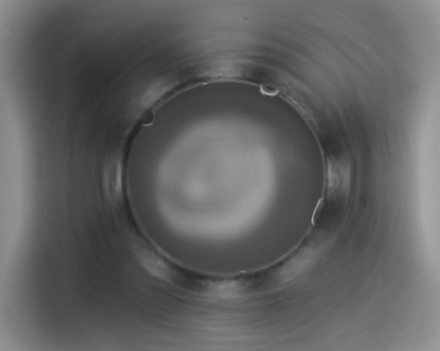 X0000115360301200911101202