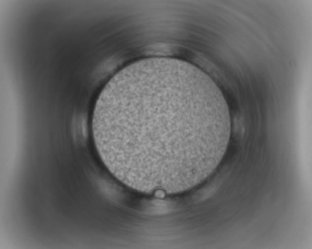 X0000115360302200911101202
