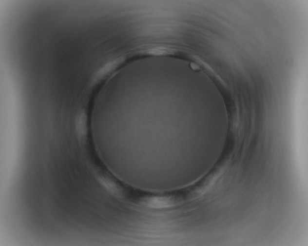 X0000115360303200911101202