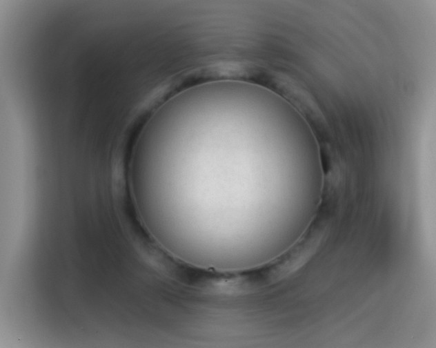 X0000115360306200911101202