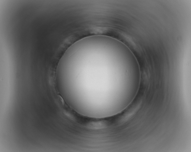 X0000115360307200911101202