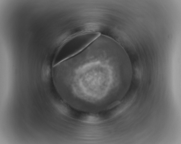 X0000115360308200911101202