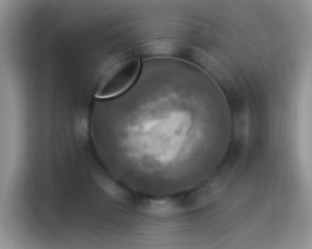 X0000115360309200911101202