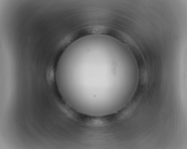 X0000115360310200911101202