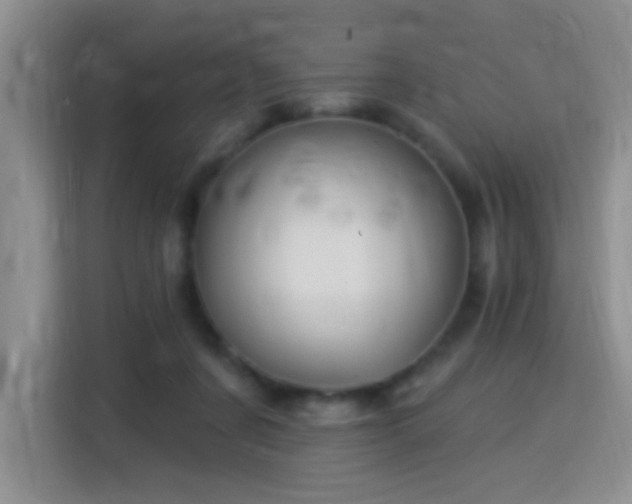 X0000115360311200911101202