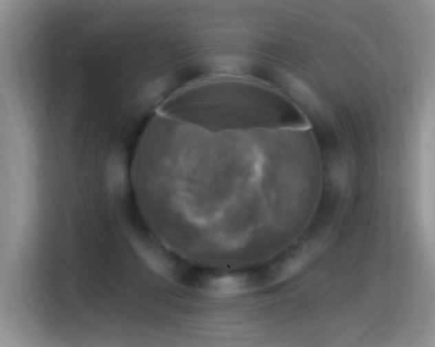 X0000115360312200911101202