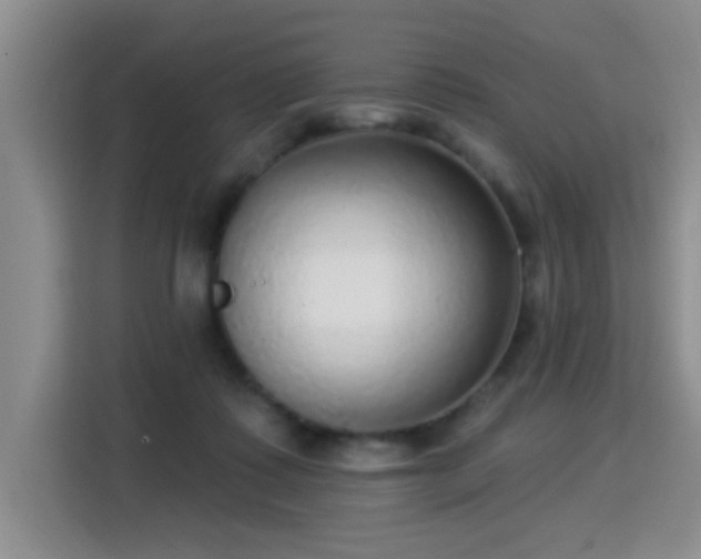 X0000115360315200911101202