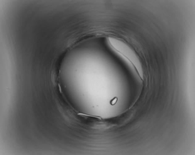 X0000115360316200911101202