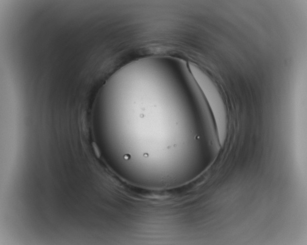 X0000115360317200911101202