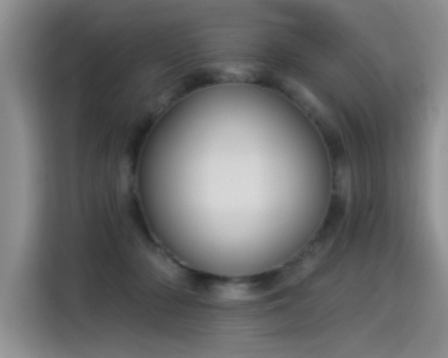 X0000115360318200911101202