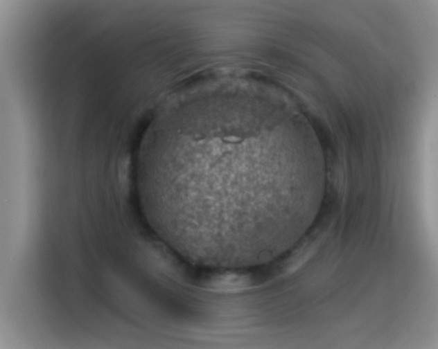 X0000115360319200911101202