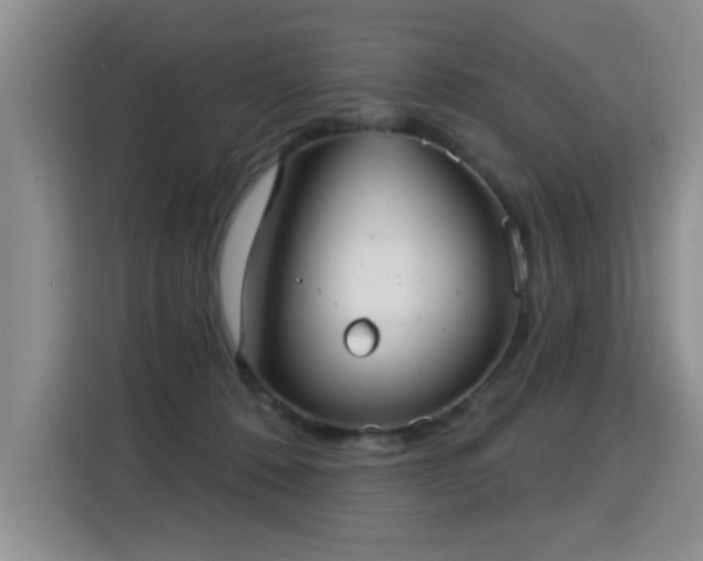 X0000115360320200911101202