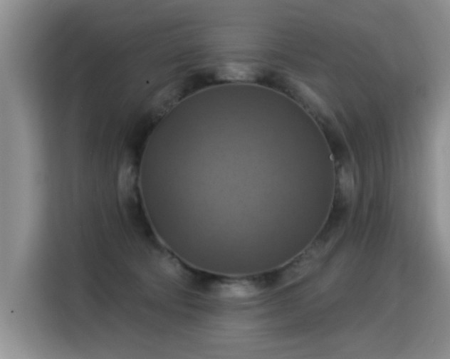 X0000115360322200911101202