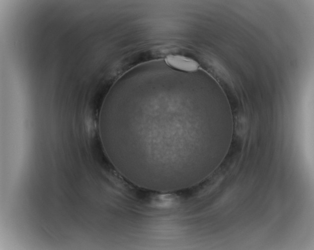 X0000115360324200911101202