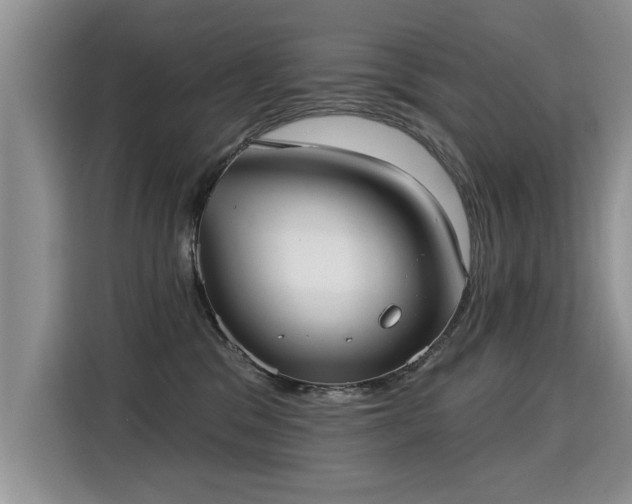 X0000115360329200911101202