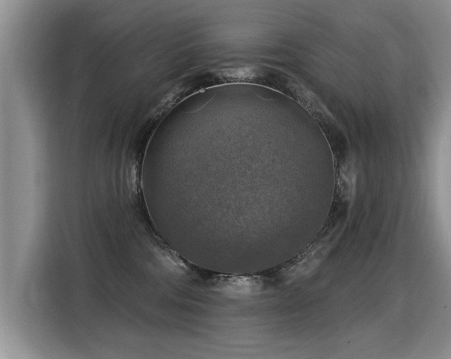 X0000115360330200911101202