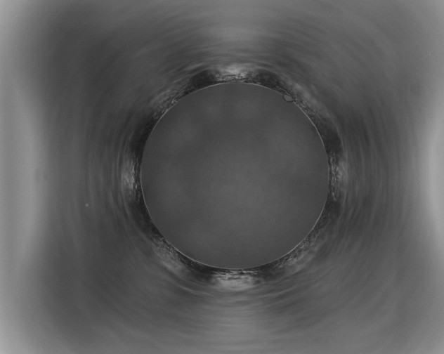 X0000115360331200911101202
