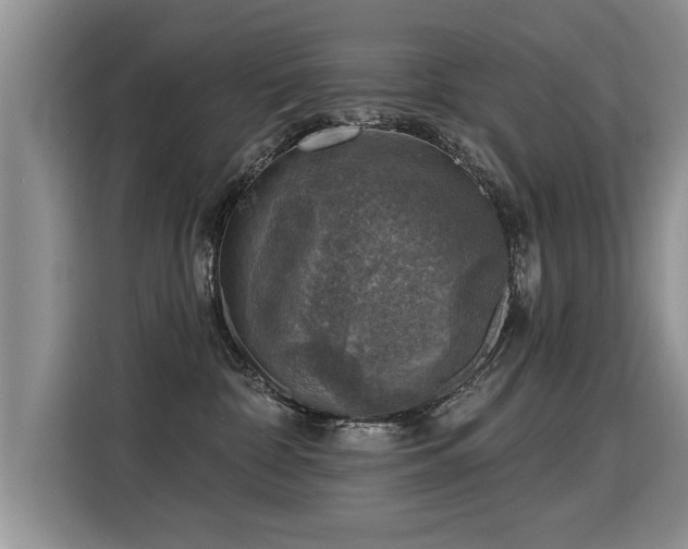 X0000115360332200911101202