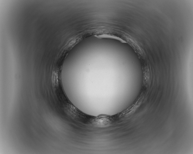 X0000115360333200911101201