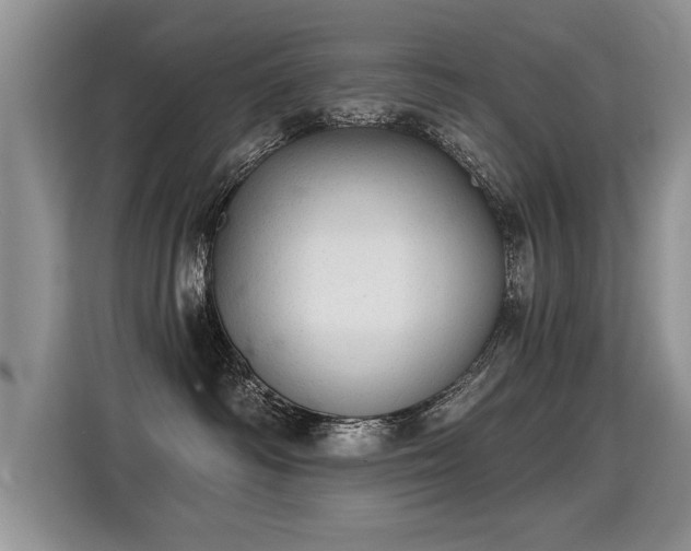 X0000115360334200911101201