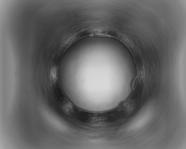 X0000115360335200911101201