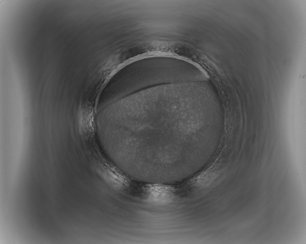 X0000115360336200911101201