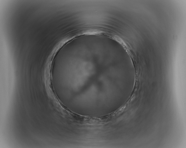 X0000115360337200911101201