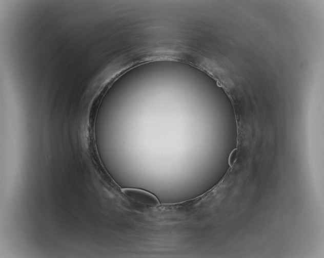 X0000115360338200911101201