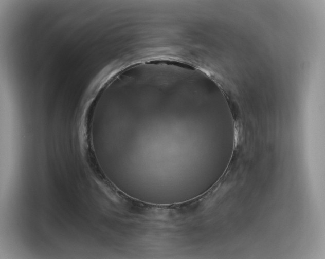 X0000115360339200911101201