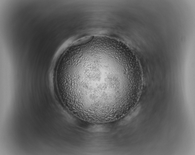 X0000115360341200911101201