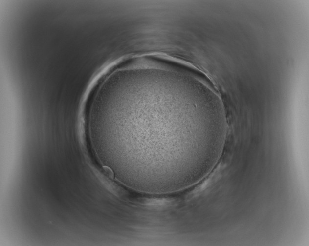 X0000115360342200911101201