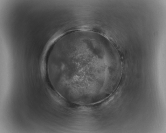 X0000115360343200911101201