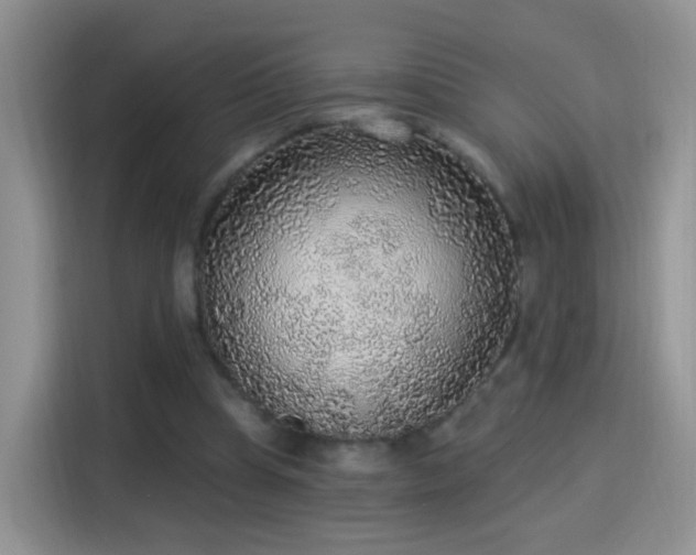X0000115360345200911101201