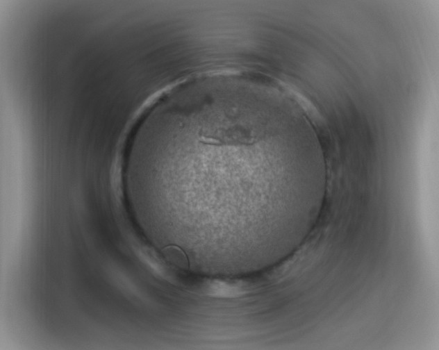 X0000115360346200911101201