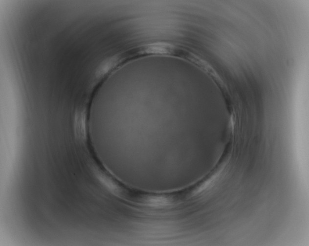 X0000115360349200911101201