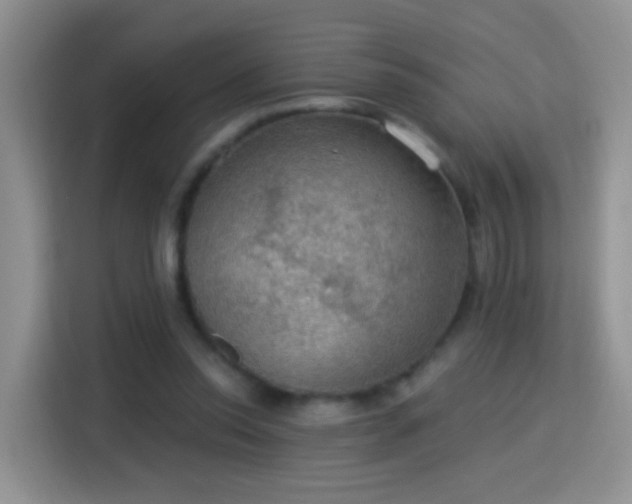X0000115360350200911101201