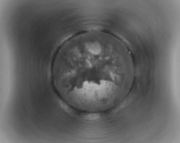 X0000115360353200911101201