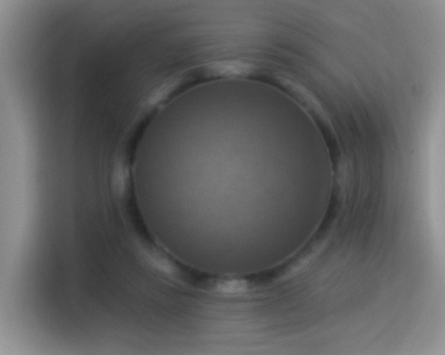X0000115360355200911101201