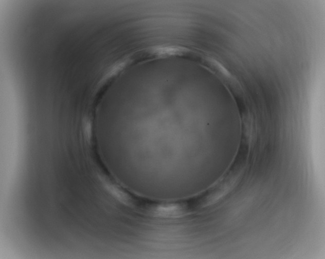 X0000115360357200911101201
