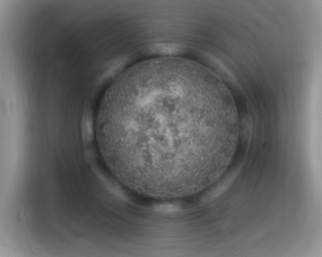 X0000115360358200911101201