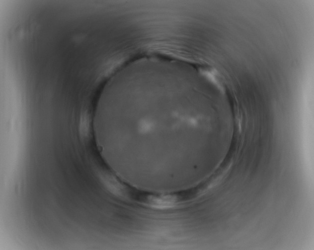X0000115360359200911101201